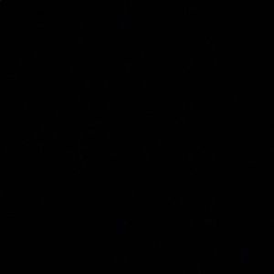 Meet your Posher, Carly